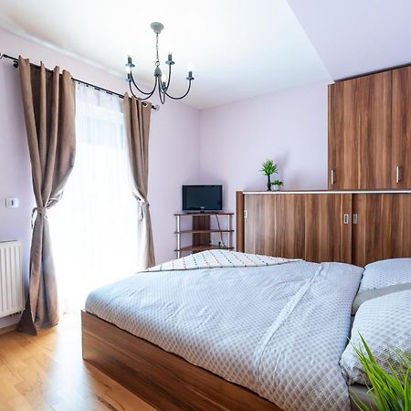 Appartamento Business And Travel Lounge With Private Parking Timisoara Esterno foto